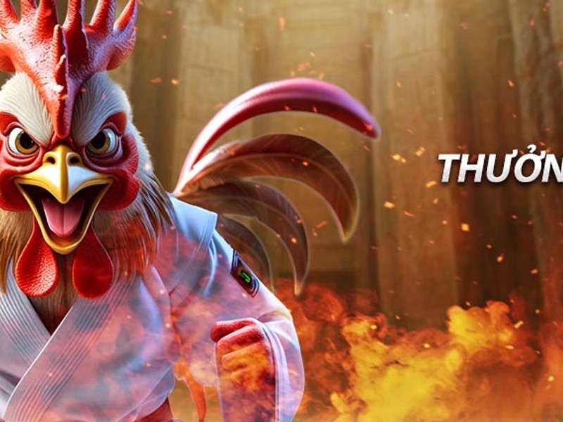 Rút Tiền Qua Ví Điện Tử