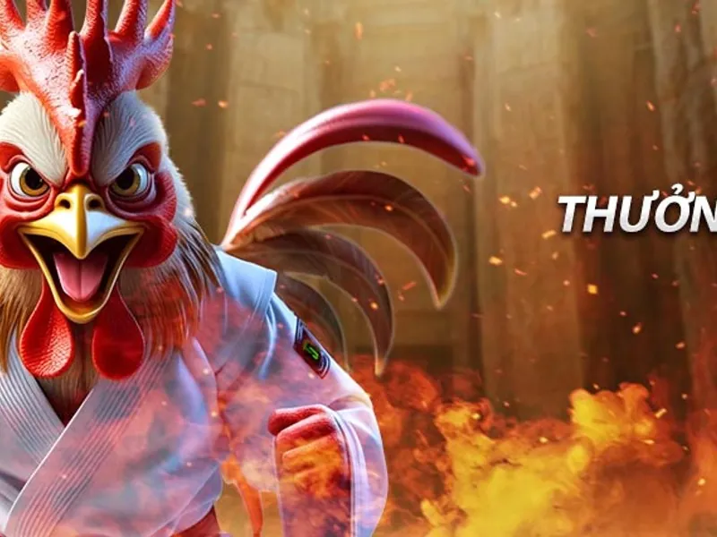 Rút Tiền Qua Ví Điện Tử